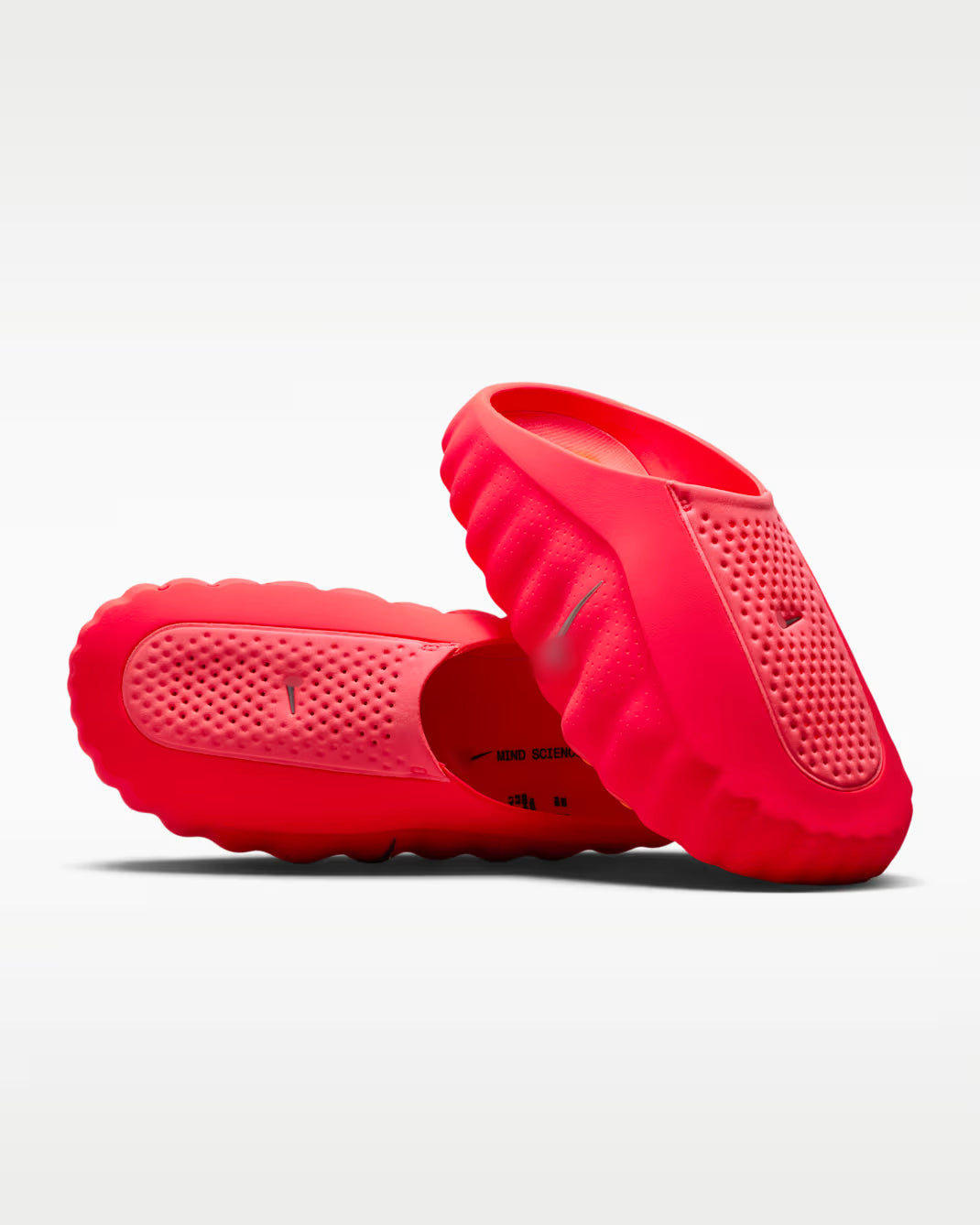 Flip-Flops Mind 001 Lt